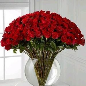 Meet your Posher, Ivon